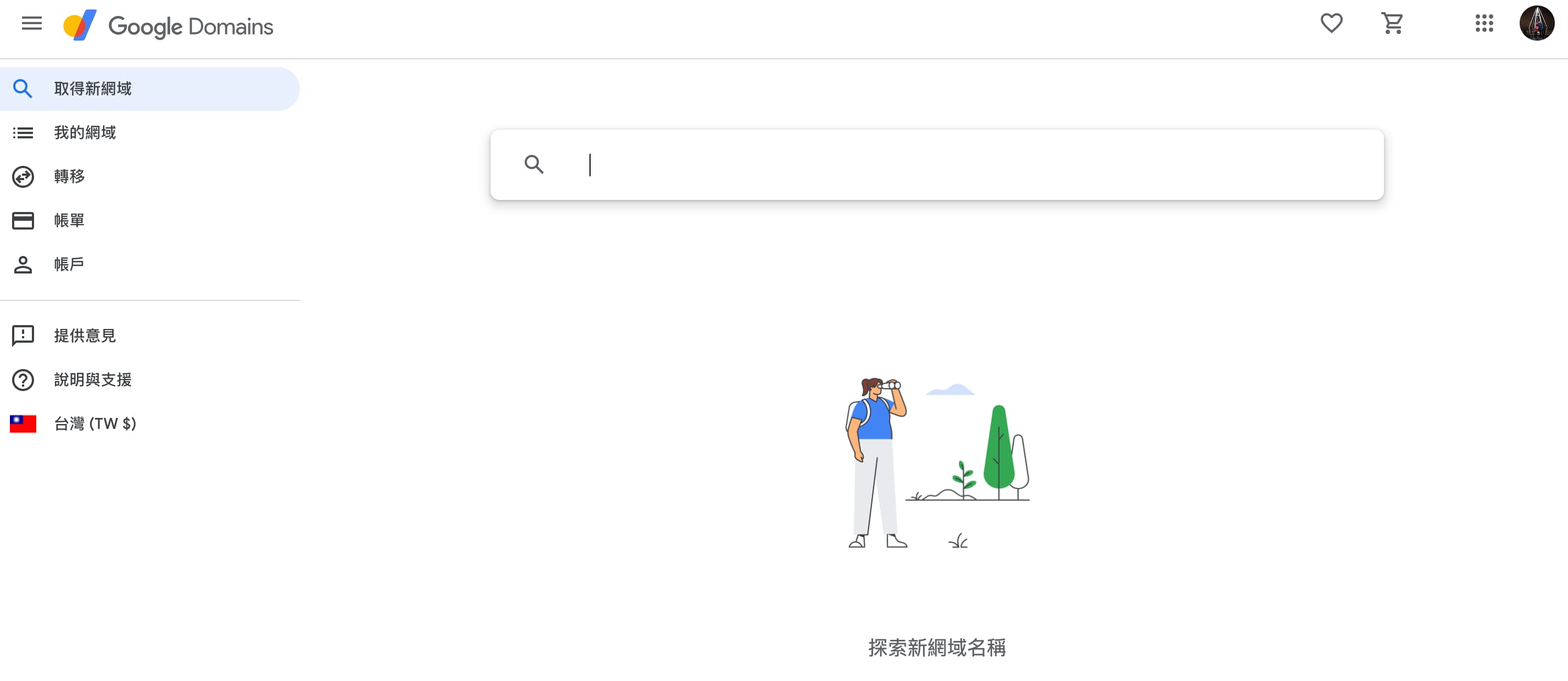 Google Domain